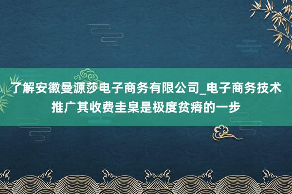 了解安徽曼源莎电子商务有限公司_电子商务技术推广其收费圭臬是极度贫瘠的一步